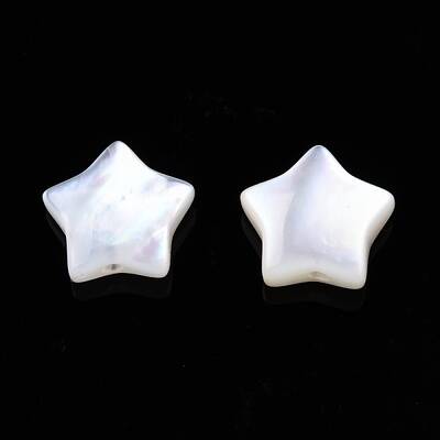 Natural White Shell Beads