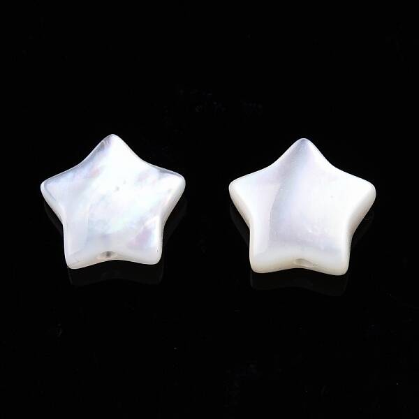 Natural White Shell Beads
