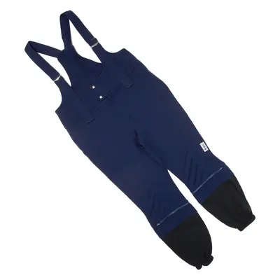 ALPIN Mens Overalls Blue Regular Wool M W36 L24