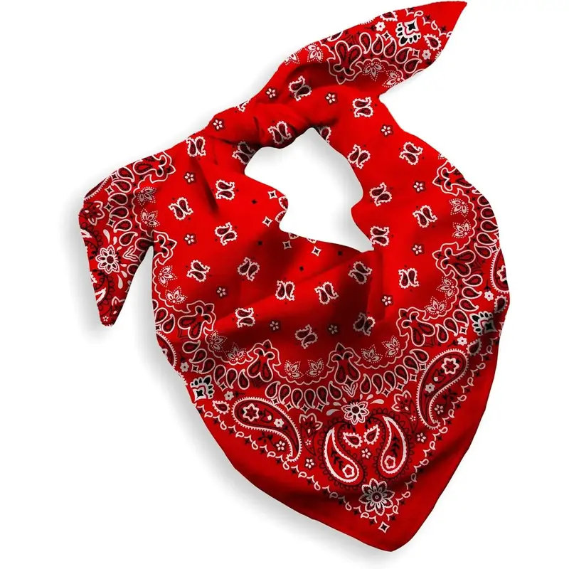 Packaging Bandana for Men Women -  Cotton, Paley, 22x22 In, 1 Pack - Large Bandanna Handkerchief Cowboy Hanky