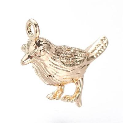 Brass Charms