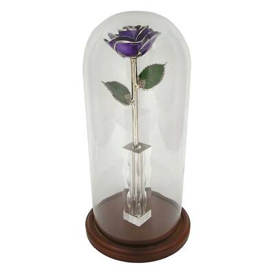 11 Platinum Trimmed Enchanted Rose