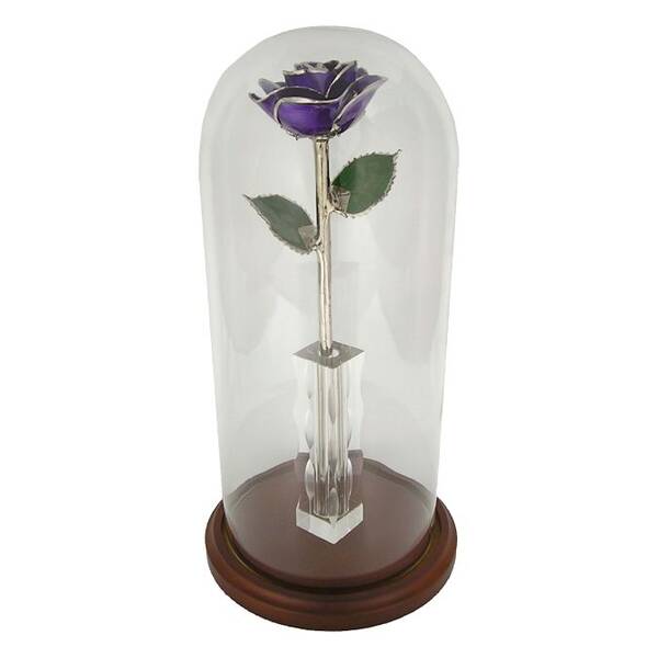 11 Platinum Trimmed Enchanted Rose