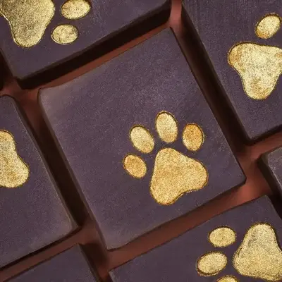 Itchy & Scratchy Soap for Dogs and Cats