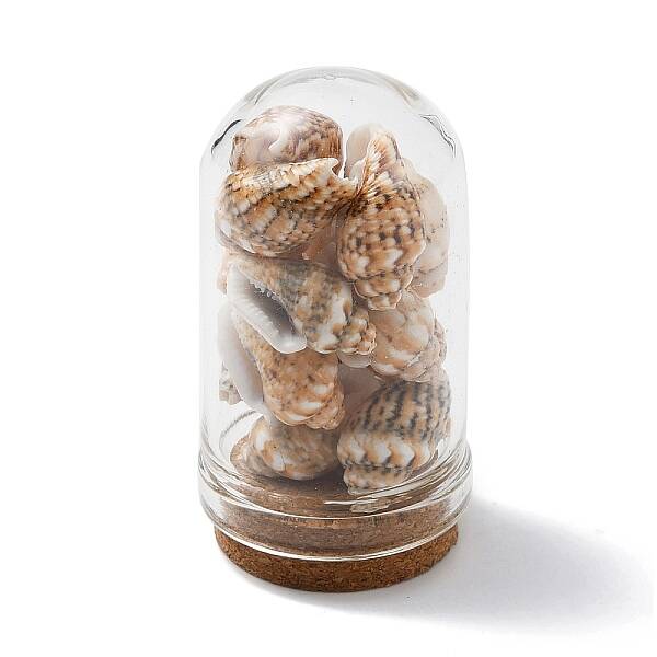 Glass Dome Bottle Display Decorations