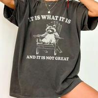 COMFORT COLOR - It Is What It Is And It Is Not Great Funny Raccoon Meme T-Shirt, Retro Unisex Adult T Shirt, Cringe Meme Racc...
