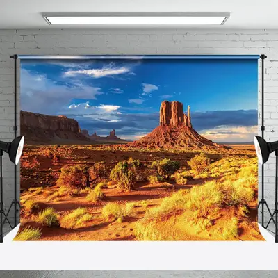 Aperturee Overgrown Desert Blue Sky Natural Scene Backdrop, 3X2FT(1MX0.6M), 14 USD, natural scenery backdrops, NYHD9I99-M