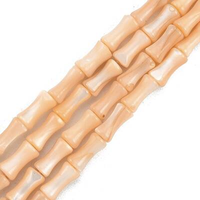 Natural Freshwater Shell Beads Strands