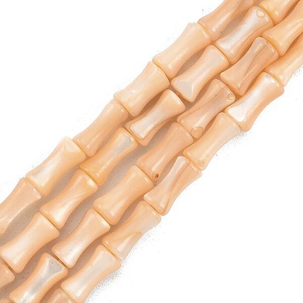Natural Freshwater Shell Beads Strands