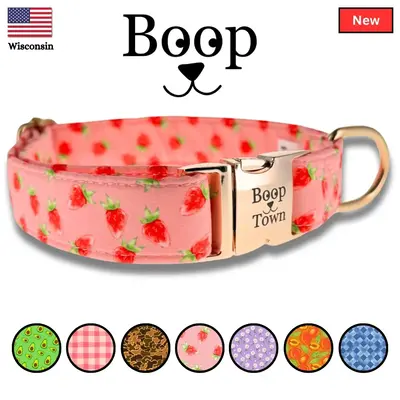 Limited Edition Dog Collar Quick Release Metal Buckle Girls Boys Small Medium Large Pet Products