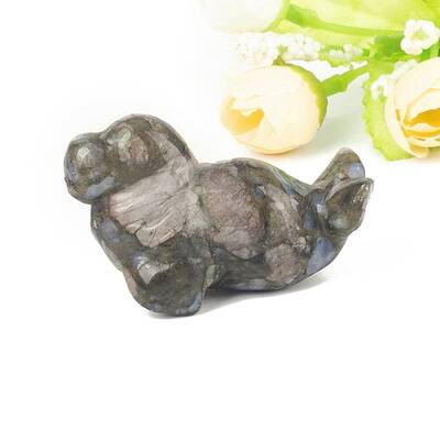 Natural Glaucophane Carved Healing Sea Dog Figurines