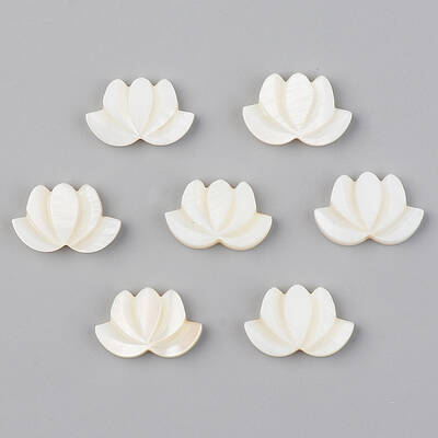 Natural Freshwater Shell Beads