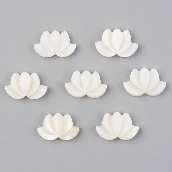 Natural Freshwater Shell Beads