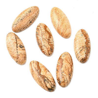 Natural Picture Jasper Cabochons