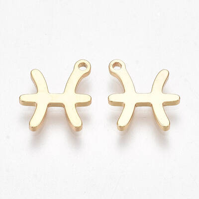 Ion Plating(IP) 304 Stainless Steel Charms