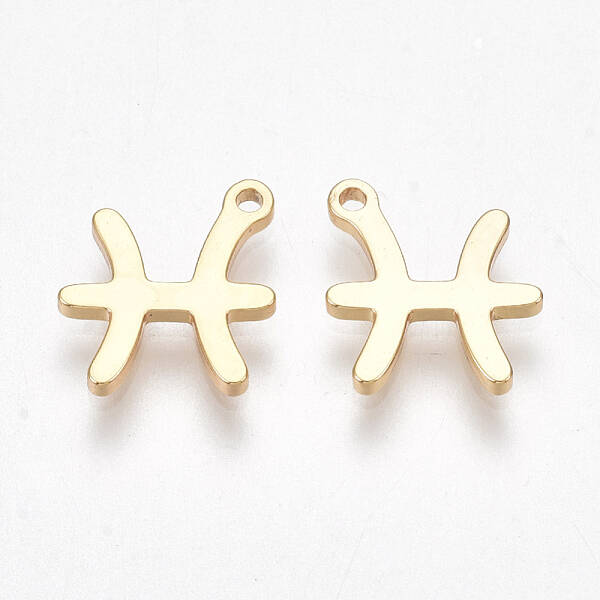 Ion Plating(IP) 304 Stainless Steel Charms