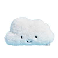 Charlie the Cloud: Reusable Heating Pad