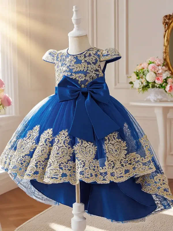 Champagne color dress with floral embroidery train design elegant and beautiful dress suitable for girls birthday party anniv...