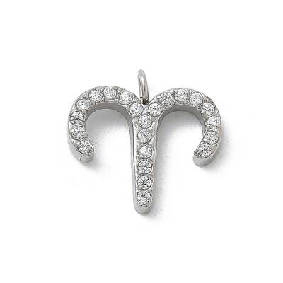 304 Stainless Steel Micro Pave Cubic Zirconia Charms