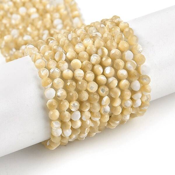 Natural Trochus Shell Beads Strands