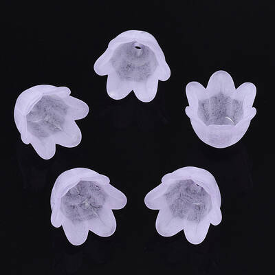 Transparent Acrylic Bead Caps