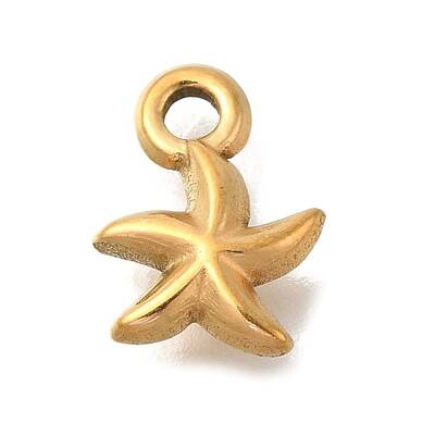 Ion Plating(IP) 304 Stainless Steel Charms