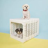 Kindtail - PAWD  Modern Collapsible Dog Crate Pet Supplies