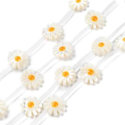 Natural Trochus Shell Beads Strands