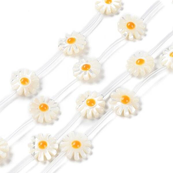 Natural Trochus Shell Beads Strands