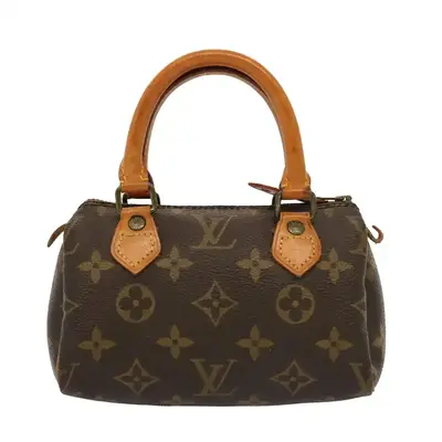Pre-owned Louis Vuitton Canvas Handbag Nano Speedy