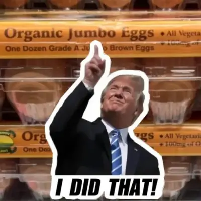 100Pcs I Did That Trump Sticker - Vinyl Sticker, Water Resistant, 1.5\