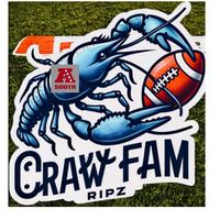 Topps- NFL FOOTBALL- PICK YOUR TEAM BREAK