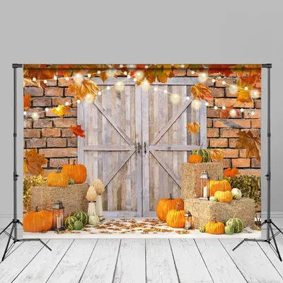 Wood Door Pumpkin Maple Leaves Light Autumn Backdrop - Aperturee