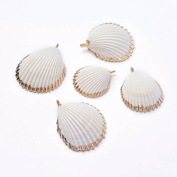 Shell Pendants