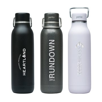 12 Promotional Perka Dashing 20 oz Double Wall Stainless Steel ...