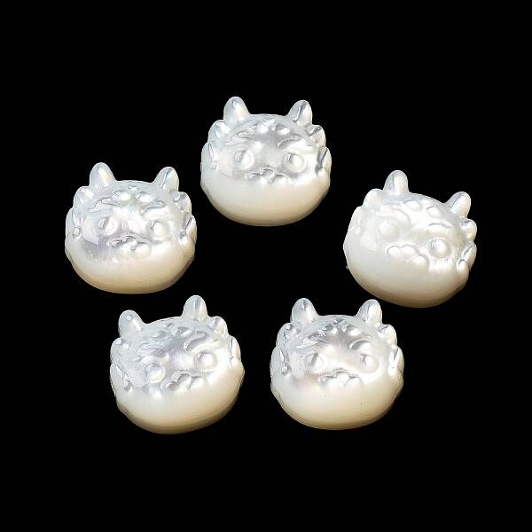 Natural White Shell