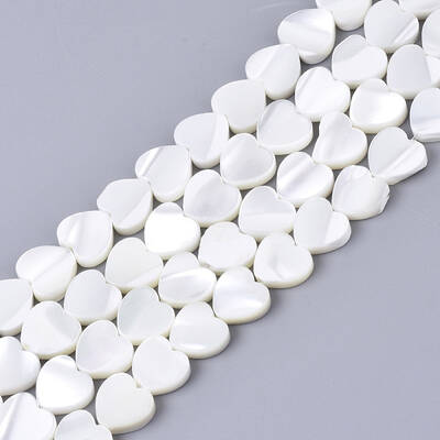 Natural Trochid Shell/Trochus Shell Bead Strands