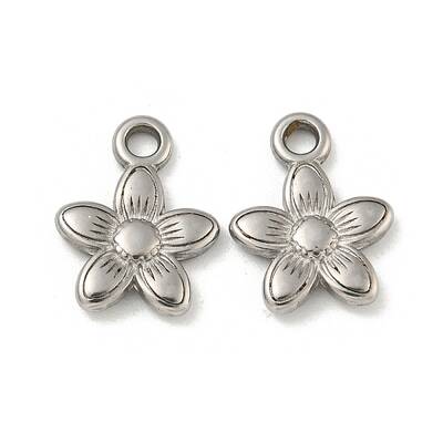 Non-Tarnish 304 Stainless Steel Charms