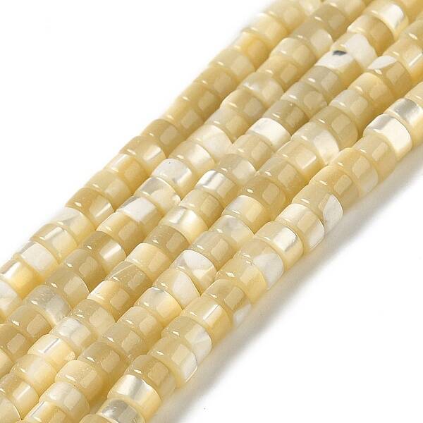 Natural Trochus Shell Beads Strands