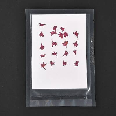 Cornflower Embossing Dry Flower