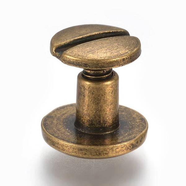 Alloy Screw Rivets