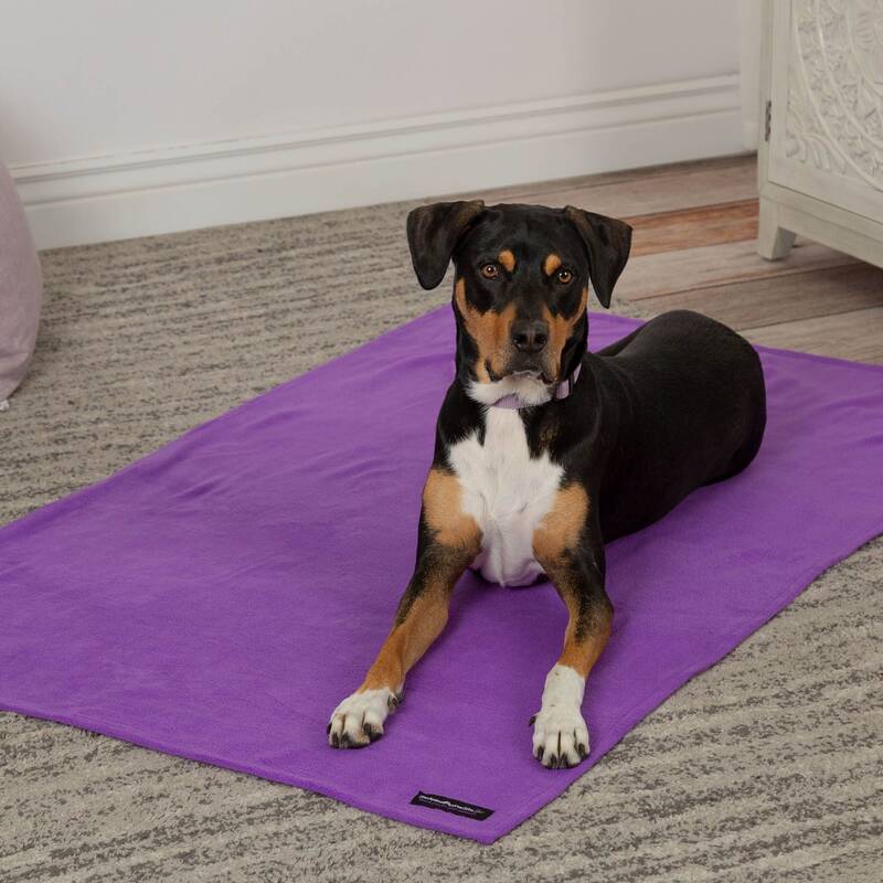Snuggle Paws Signature Pet Blanket - L