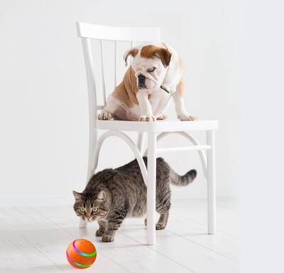 Pet Toys Self Rotating Ball Automatic Rotation Ball Wicked Ball Toy Intelligent Ball USB Cat Toys/Dog toys