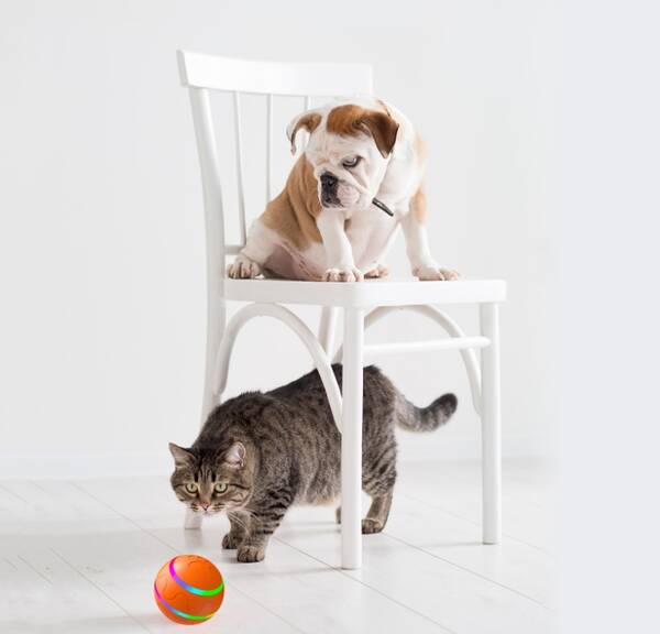 Pet Toys Self Rotating Ball Automatic Rotation Ball Wicked Ball Toy Intelligent Ball USB Cat Toys/Dog toys