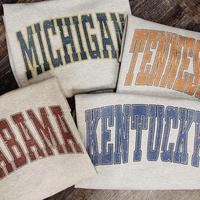 Distressed Varsity College T-Shirt – Ash Grey, unisex classic cotton tee with a vintage athletic look, perfect for casual w...