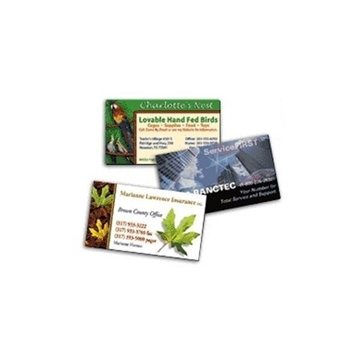 250 Promotional Business Card Magnets - Full Color