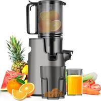 LQZ 350W Cold Press Juicer-Slow Masticating Machines, 4.3\
