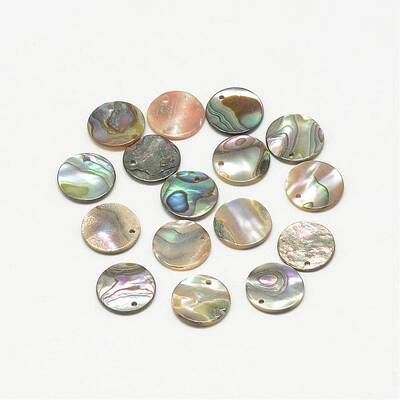 Paua Shell Charms
