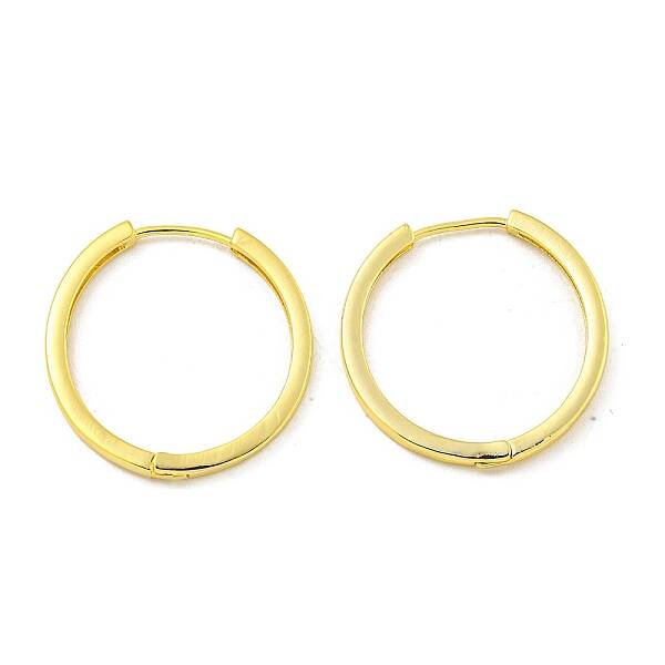Brass Hoop Earrings