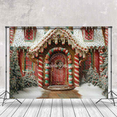 Snowy Festive Gingerbread House Christmas Backdrop - Aperturee